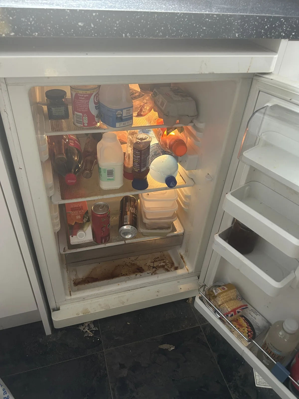 Fridge before cleaning